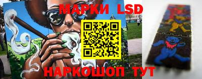 PSILOCYBIN Донской