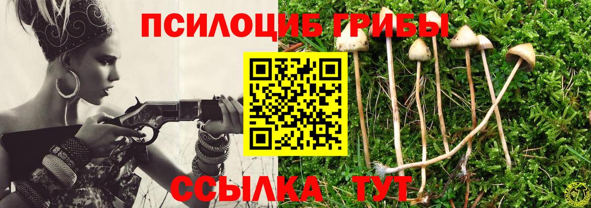 Муравленко  Галлюциногенные грибы Magic Shrooms  Вход с VPN 
